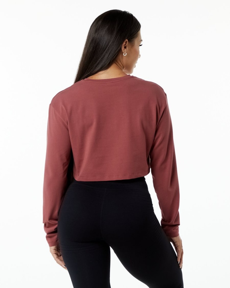 Gingerbread Alphalete Dynasty LS Crop Women's Long Sleeve | 9756280-DH