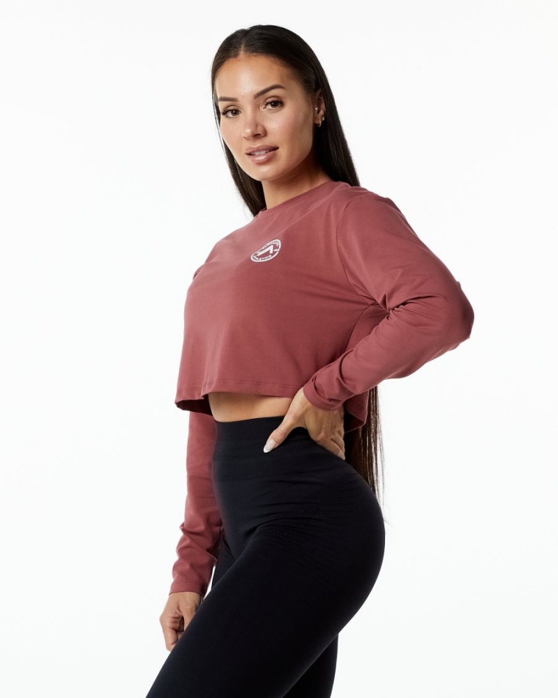 Gingerbread Alphalete Dynasty LS Crop Women's Long Sleeve | 9756280-DH