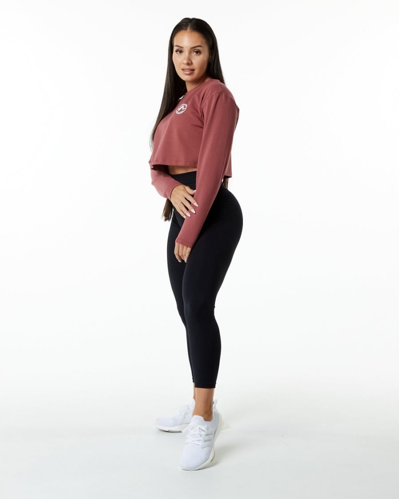 Gingerbread Alphalete Dynasty LS Crop Women's Long Sleeve | 9756280-DH