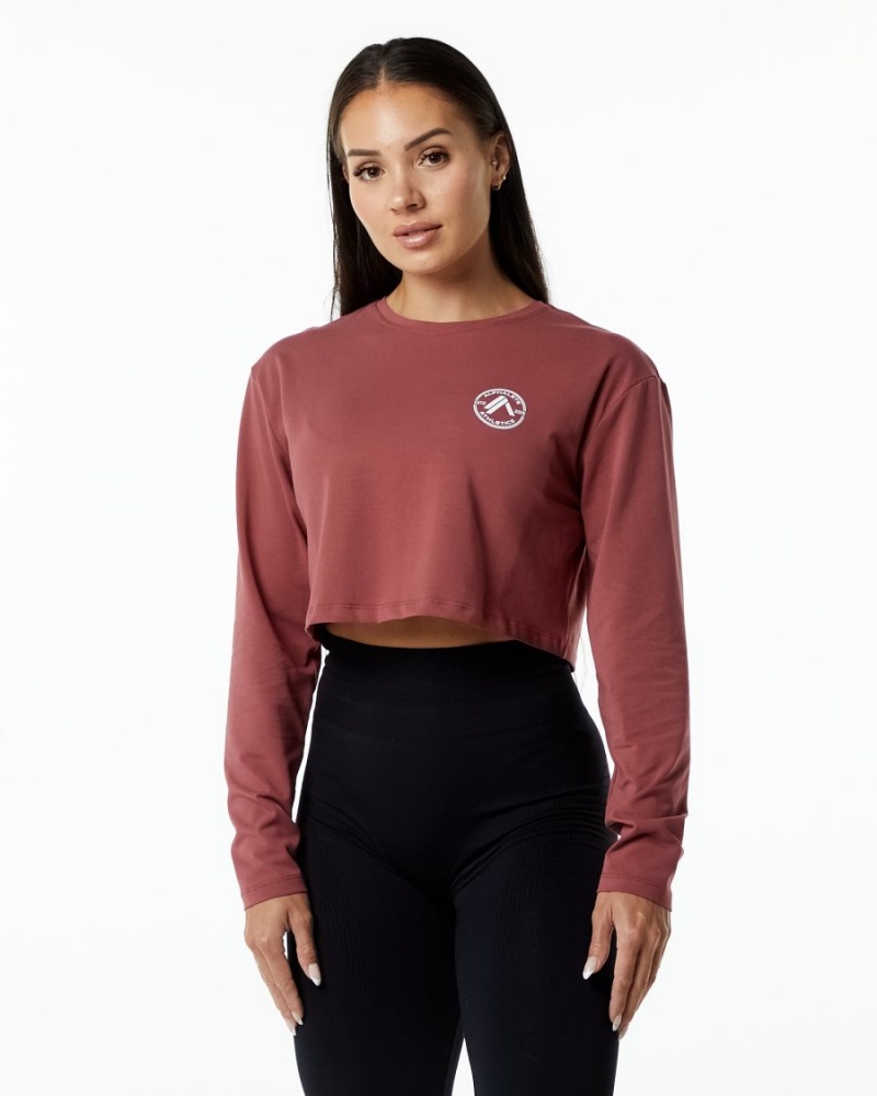 Gingerbread Alphalete Dynasty LS Crop Women\'s Long Sleeve | 9756280-DH