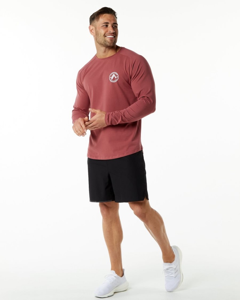 Gingerbread Alphalete Dynasty LS Tee Men's Shirts | 5061274-OB