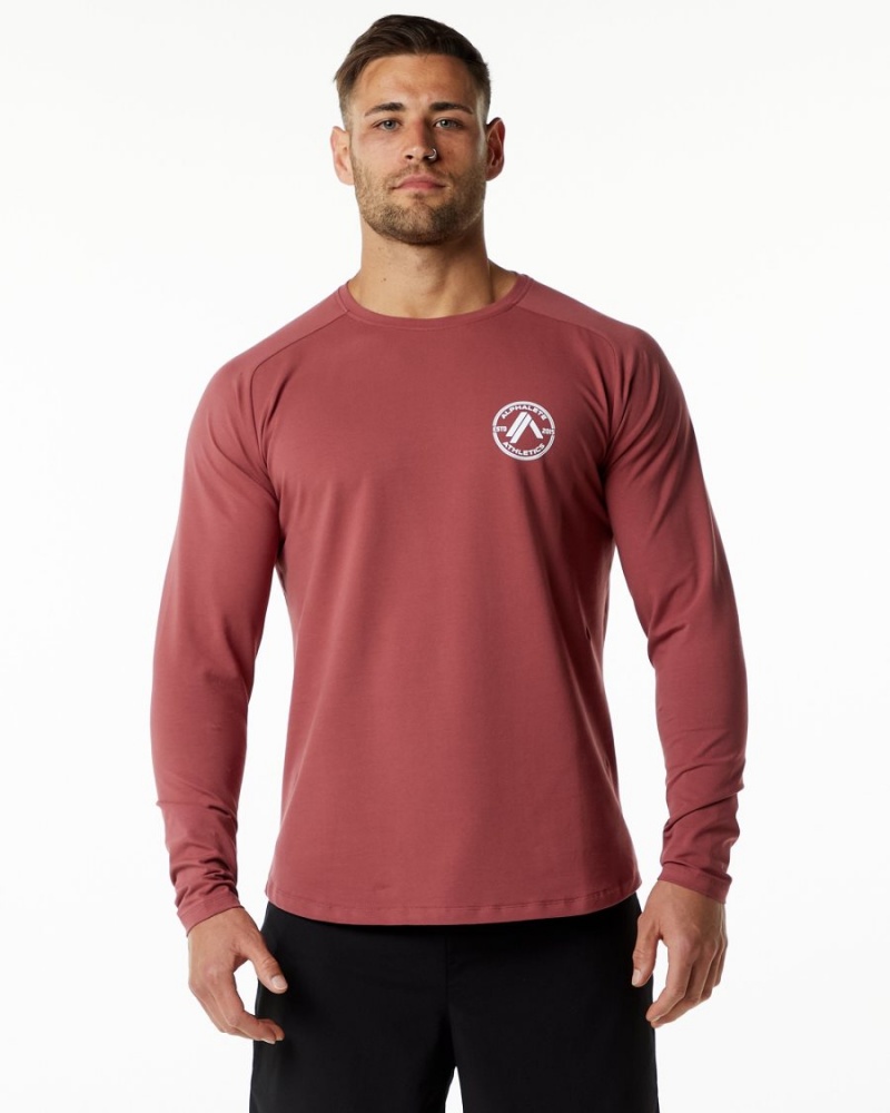 Gingerbread Alphalete Dynasty LS Tee Men\'s Shirts | 5061274-OB