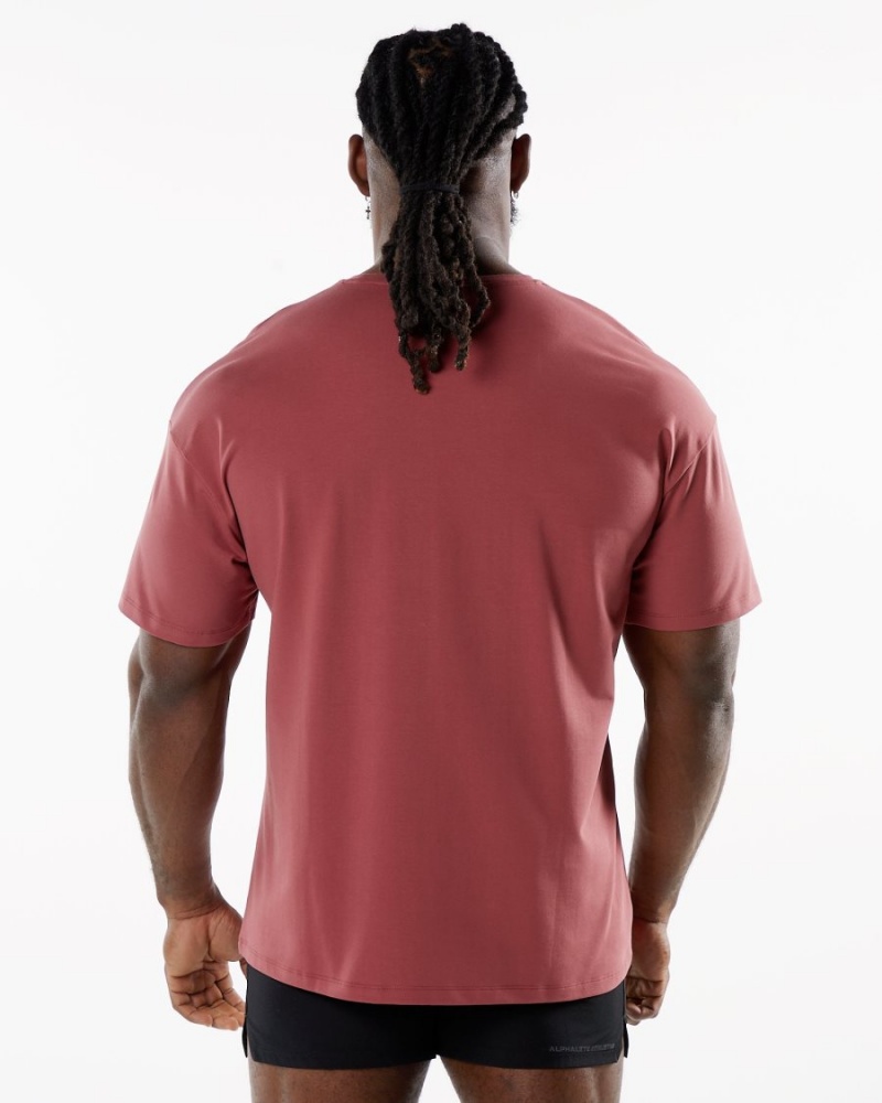 Gingerbread Alphalete Emblem Tee Men's Shirts | 7045928-PH