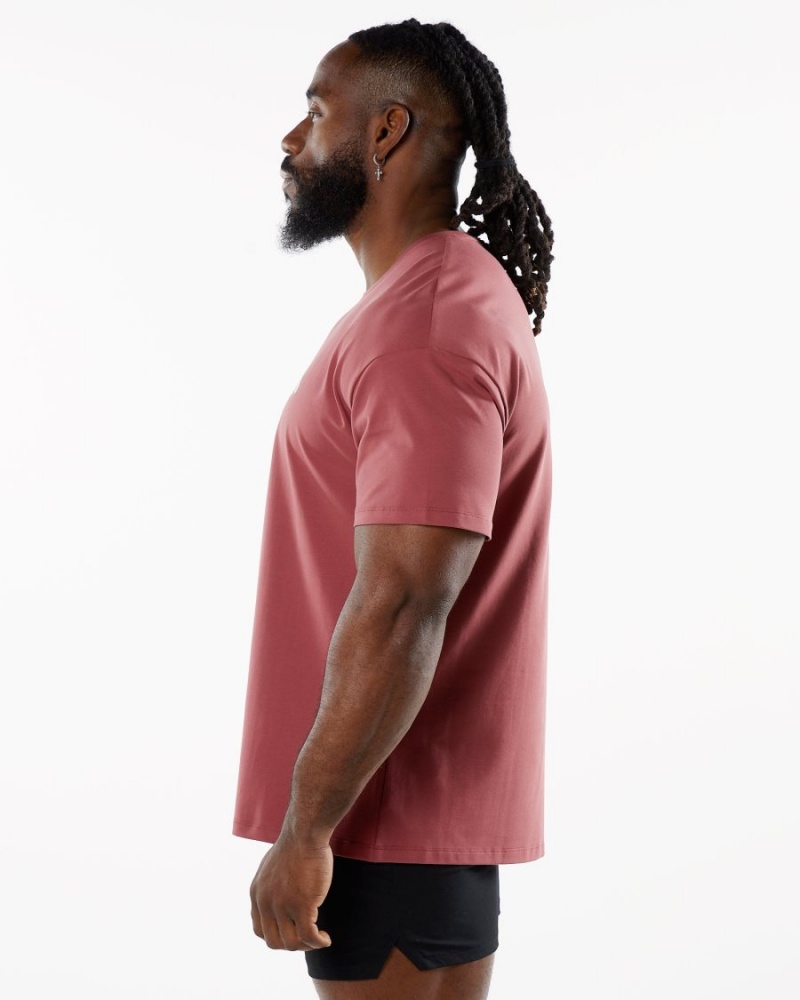 Gingerbread Alphalete Emblem Tee Men's Shirts | 7045928-PH