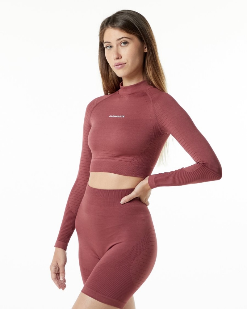 Gingerbread Alphalete Ozone High Neck LS Crop Women's Long Sleeve | 1469723-KF