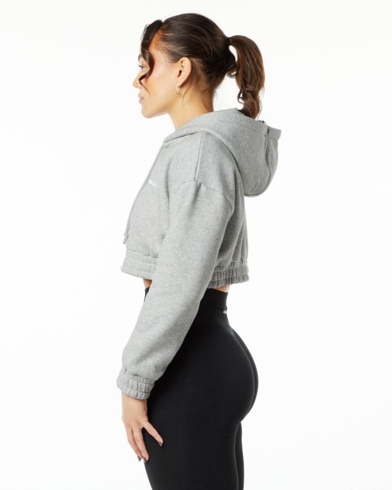 Heather Grey Alphalete Classic Capital Crop Hoodie Women's Hoodie | 1402396-IM