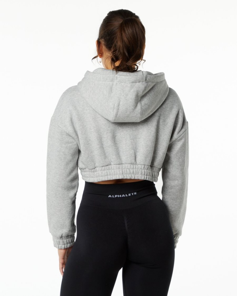 Heather Grey Alphalete Classic Capital Crop Hoodie Women's Hoodie | 1402396-IM