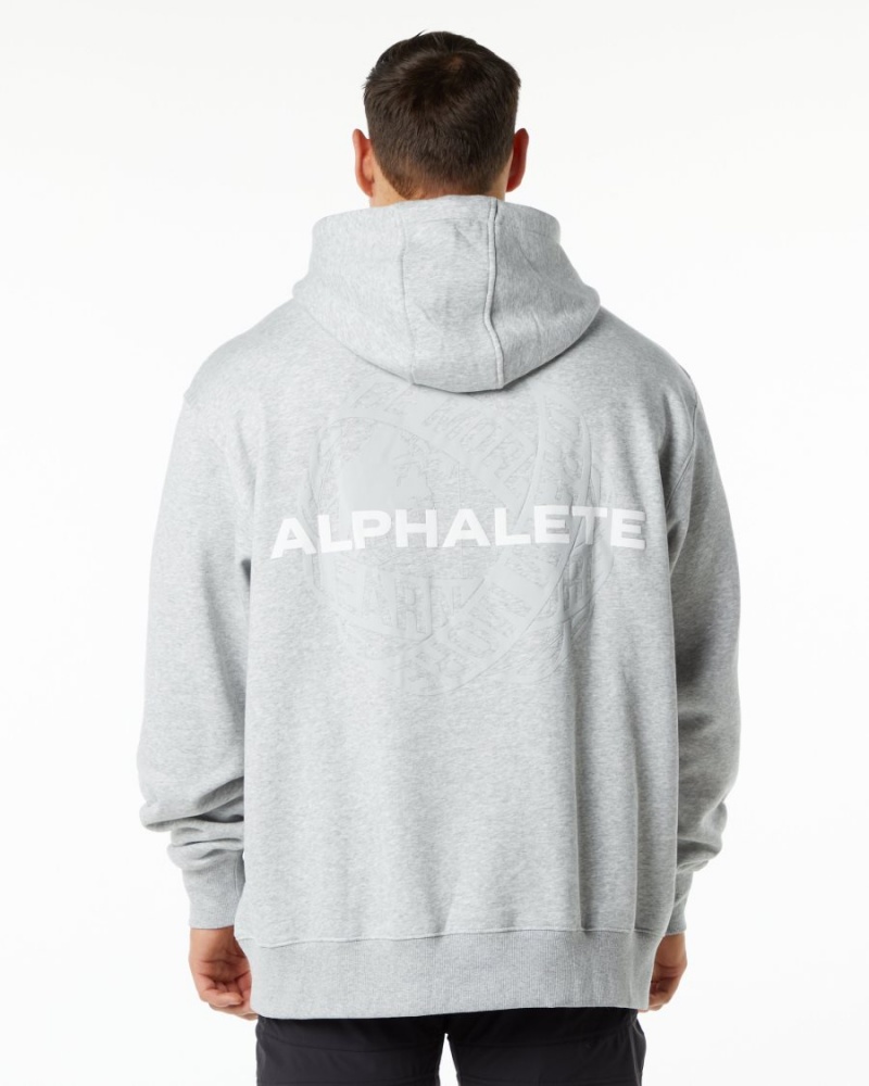 Heather Grey Alphalete Unity Hoodie Men\'s Hoodie | 4258690-PE