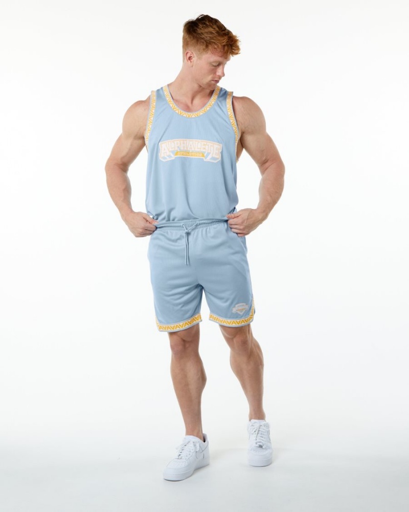 Light Blue Alphalete Varsity Basketball Jersey Men's Stringers | 4395026-GZ