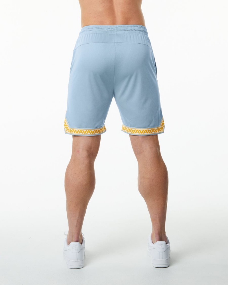 Light Blue Alphalete Varsity Basketball Short 9" Men's Shorts | 1982035-XW