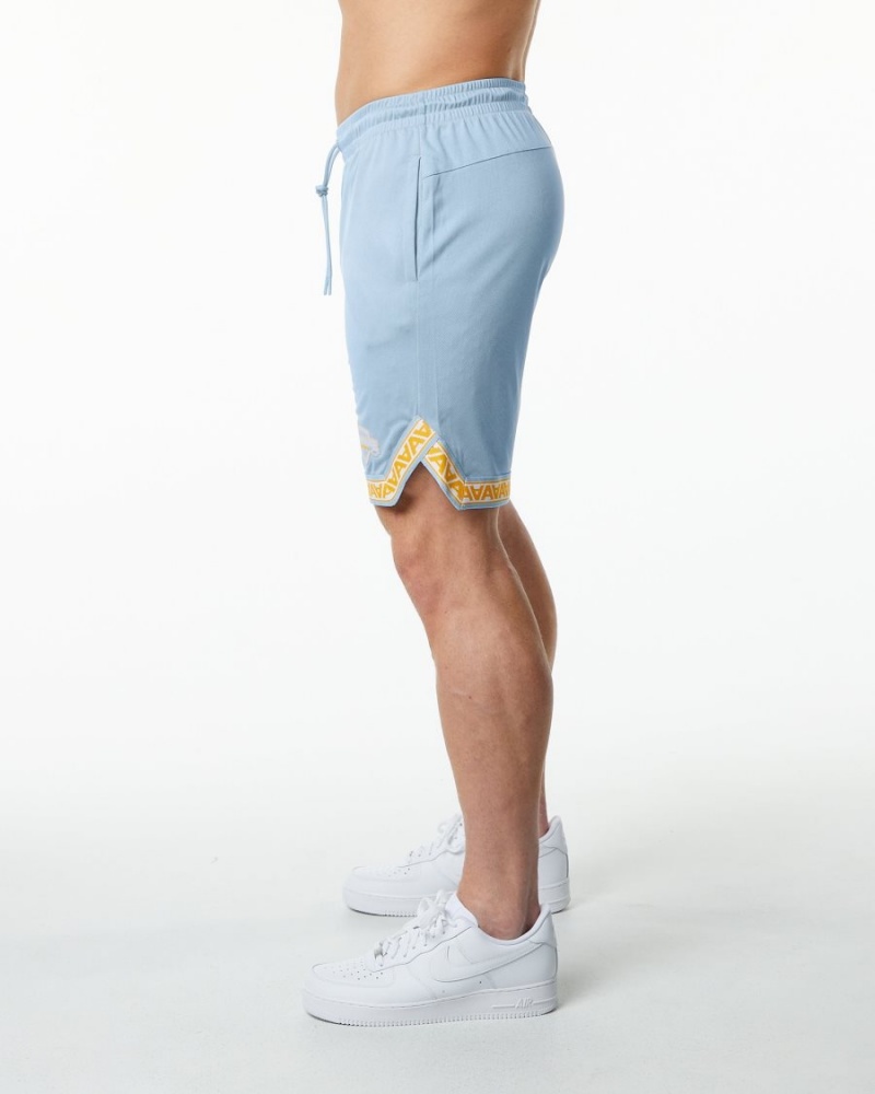 Light Blue Alphalete Varsity Basketball Short 9" Men's Shorts | 1982035-XW