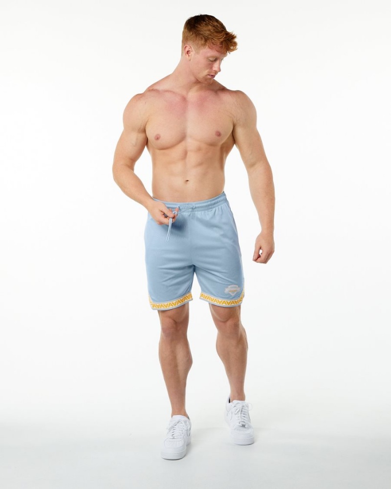 Light Blue Alphalete Varsity Basketball Short 9" Men's Shorts | 1982035-XW