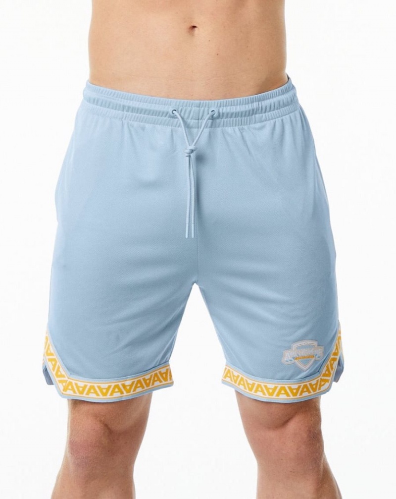 Light Blue Alphalete Varsity Basketball Short 9" Men\'s Shorts | 1982035-XW