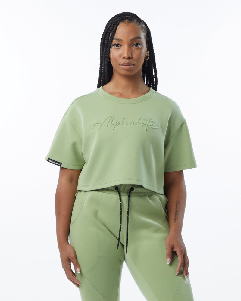 Light Green Alphalete ELMTS Half Sleeve Pullover Women's Jackets | 3867150-BK