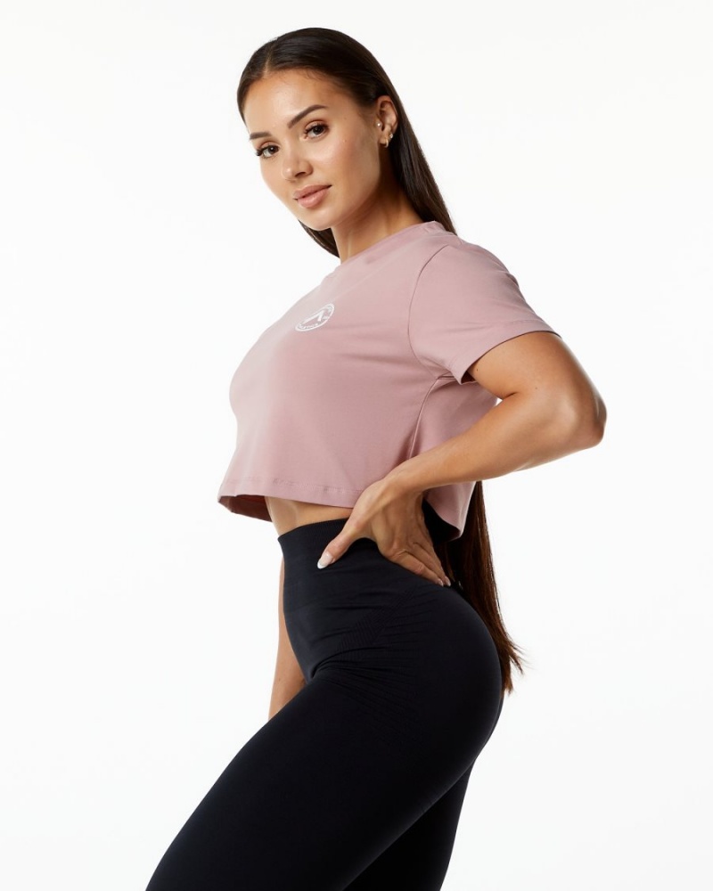 Mauve Alphalete Dynasty Crop Women's Shirts | 3917264-RY