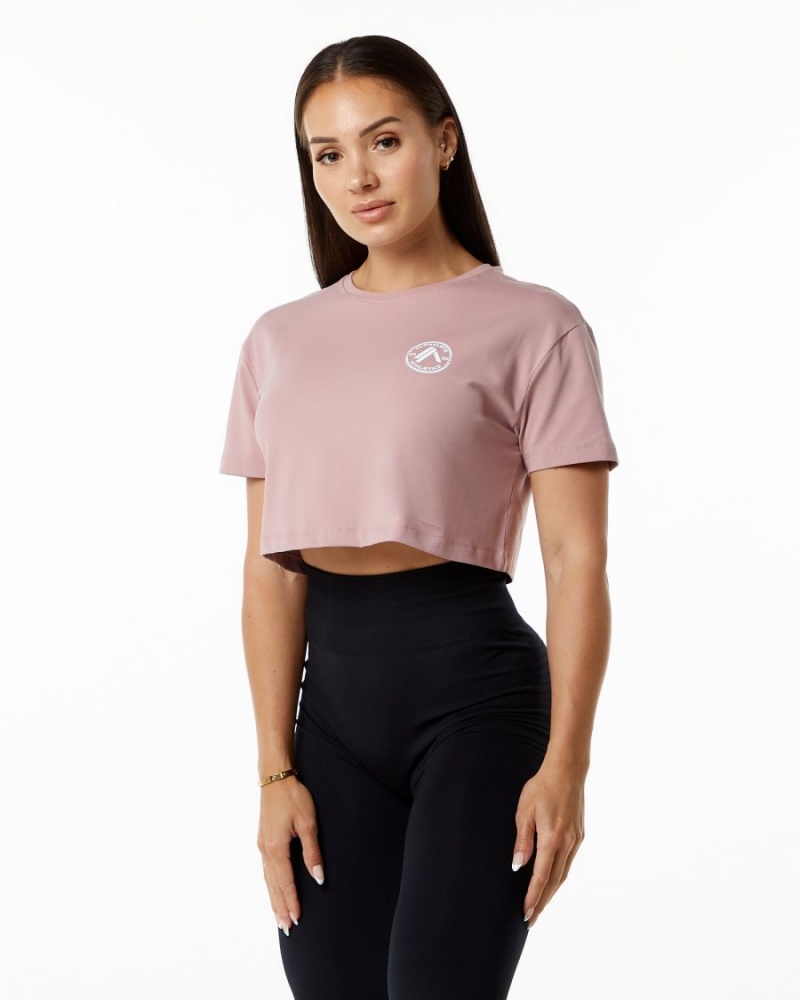 Mauve Alphalete Dynasty Crop Women\'s Shirts | 3917264-RY