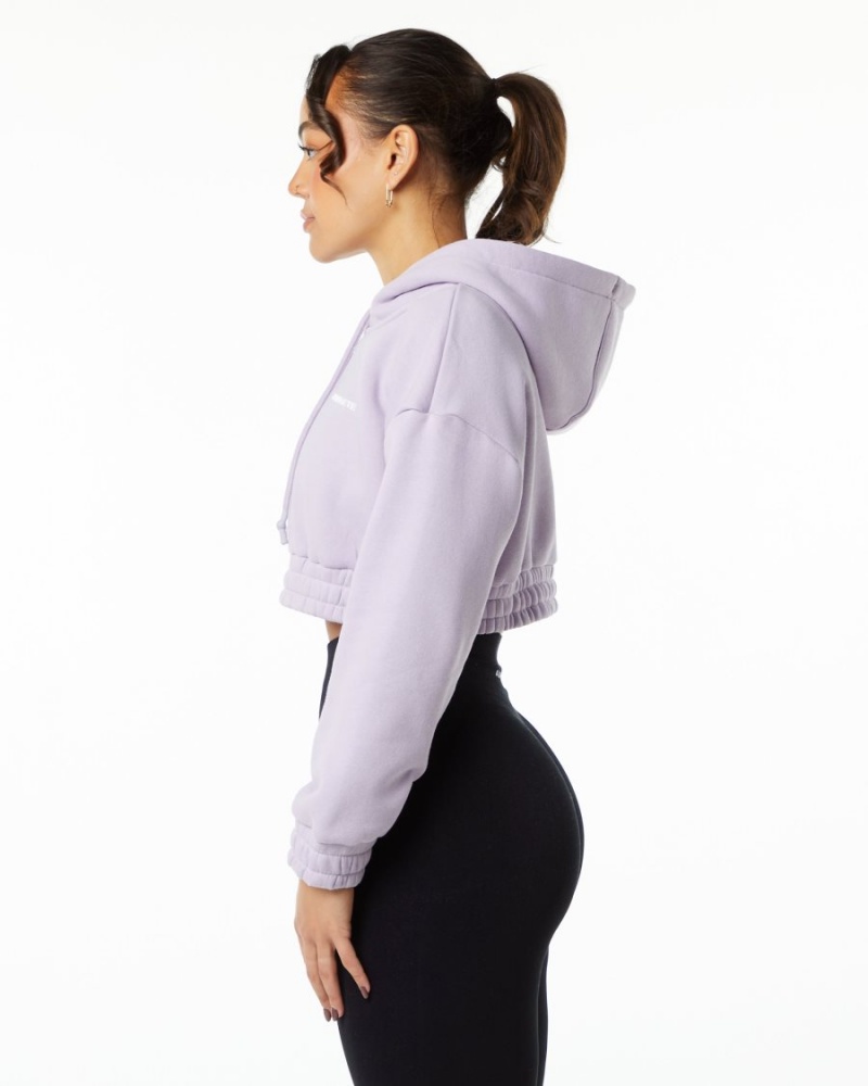 Misty Lilac Alphalete Classic Capital Crop Hoodie Women's Hoodie | 5974386-SL