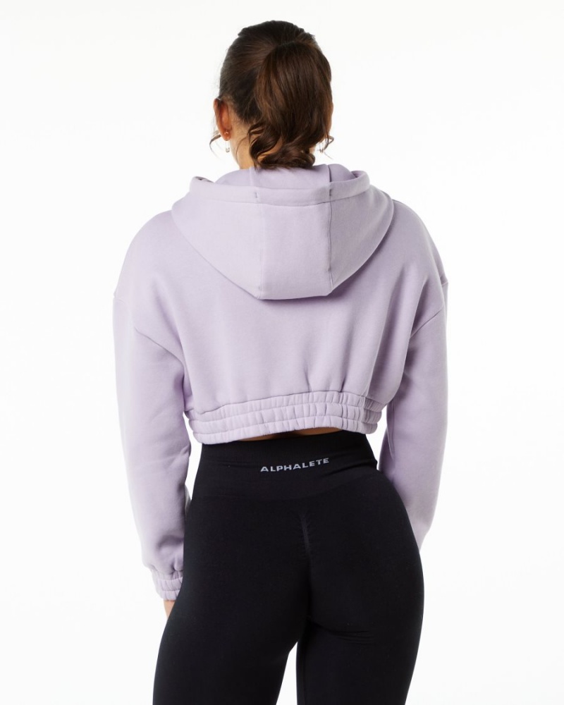 Misty Lilac Alphalete Classic Capital Crop Hoodie Women's Hoodie | 5974386-SL