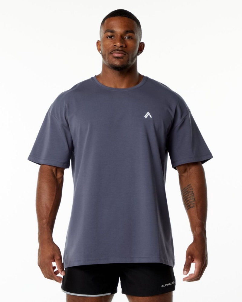 Muted Purple Alphalete Emblem Tee Men\'s Shirts | 4052978-DT