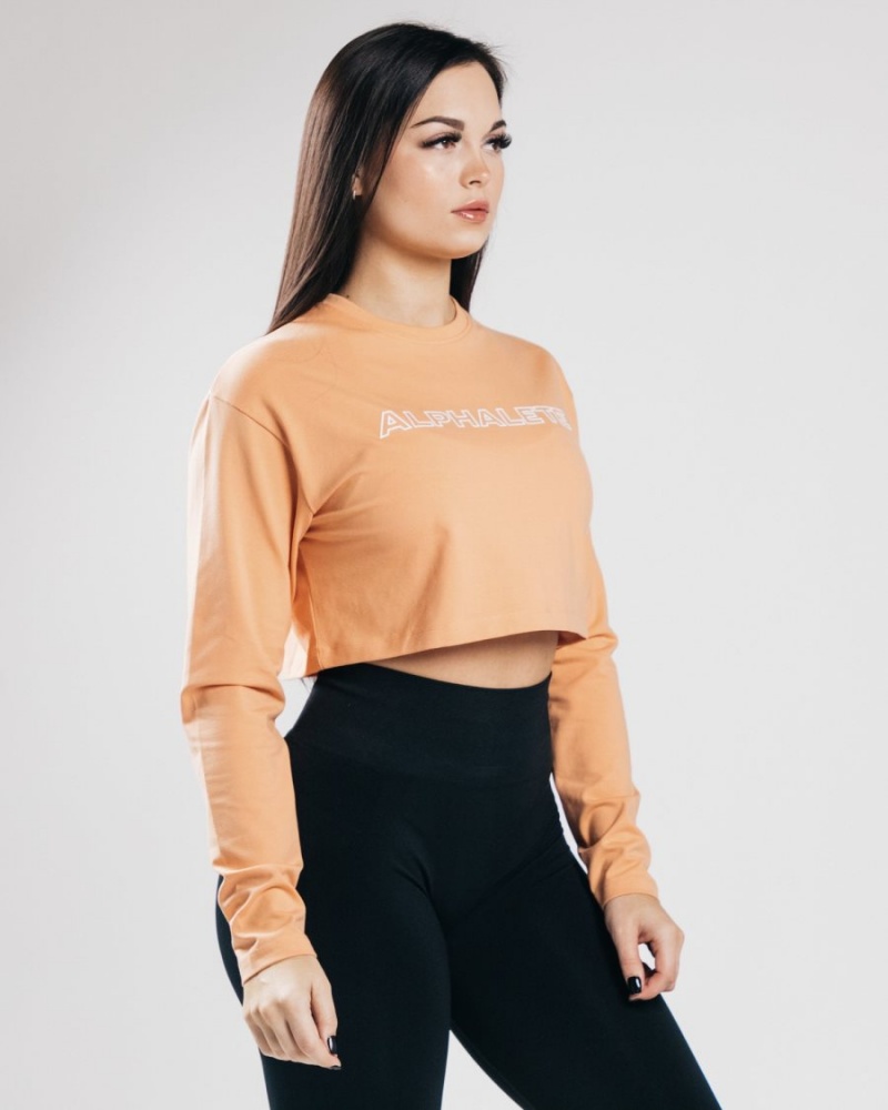 Orange Frost Alphalete Outlined Long Sleeve Crop Women's Long Sleeve | 2786450-AC