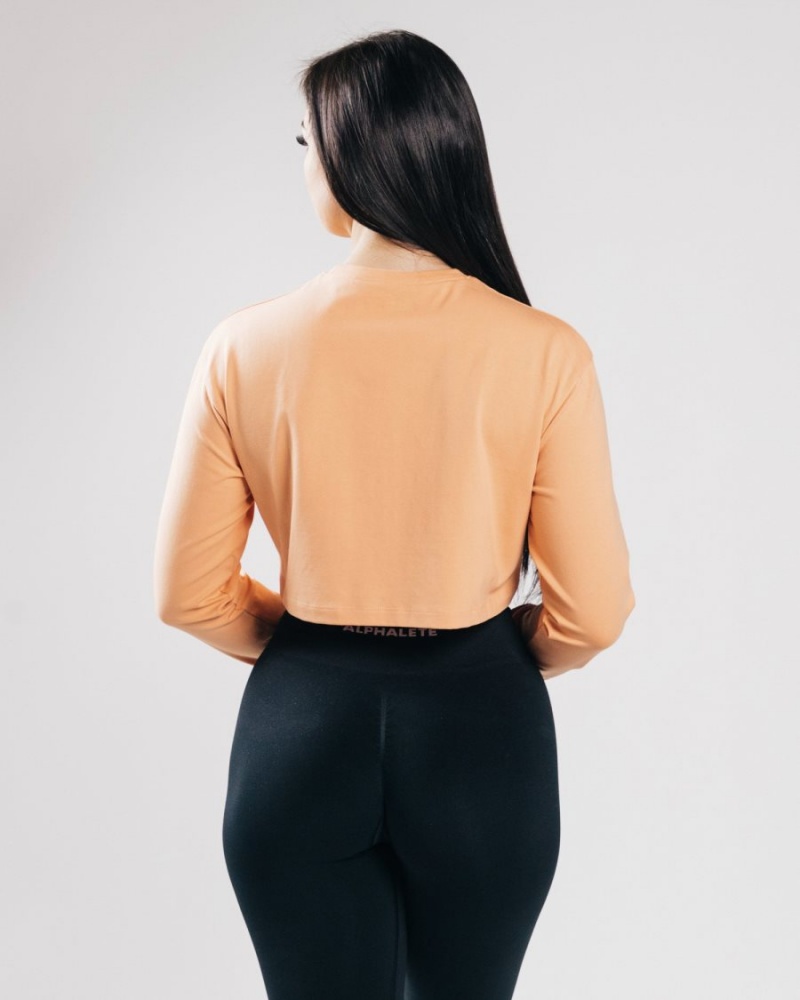 Orange Frost Alphalete Outlined Long Sleeve Crop Women's Long Sleeve | 2786450-AC