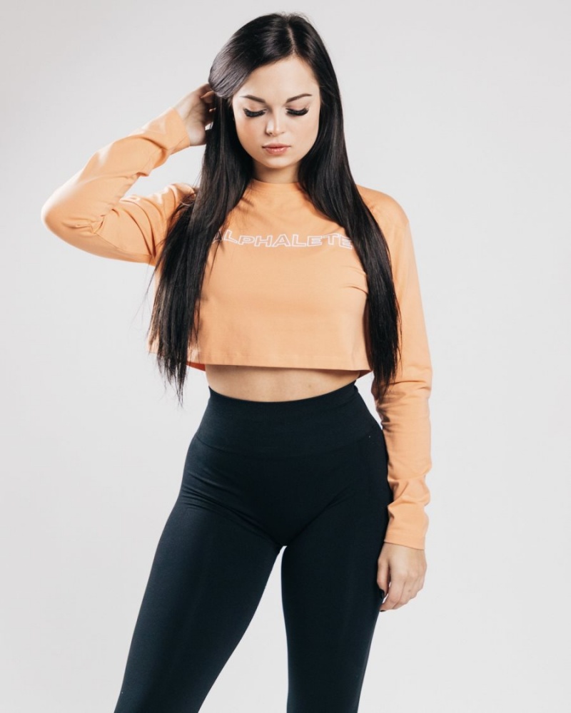 Orange Frost Alphalete Outlined Long Sleeve Crop Women's Long Sleeve | 2786450-AC