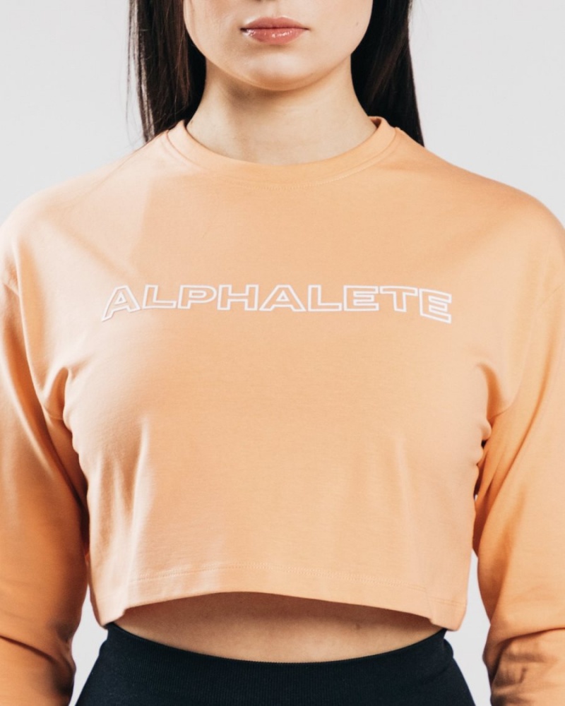 Orange Frost Alphalete Outlined Long Sleeve Crop Women's Long Sleeve | 2786450-AC