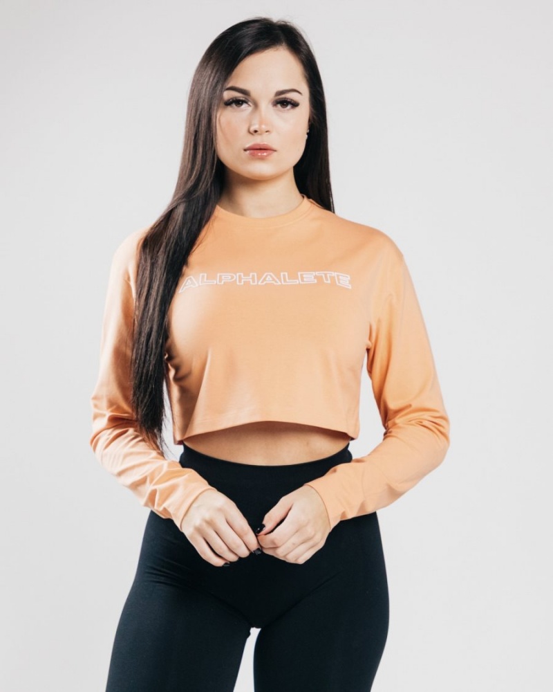 Orange Frost Alphalete Outlined Long Sleeve Crop Women\'s Long Sleeve | 2786450-AC