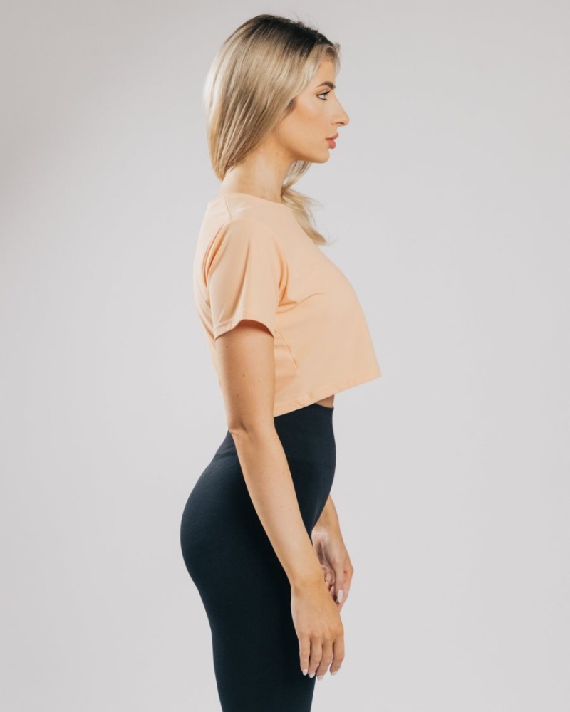 Orange Frost Alphalete Signature Mesh Crop Women's Shirts | 3801945-OX