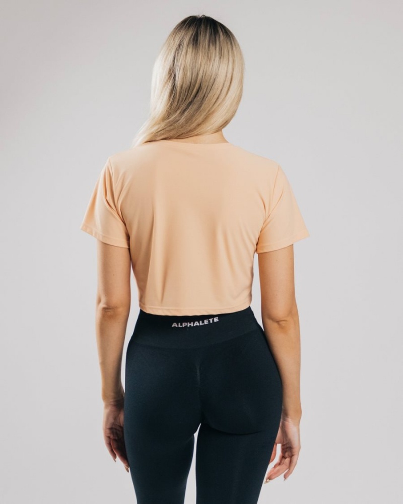 Orange Frost Alphalete Signature Mesh Crop Women's Shirts | 3801945-OX