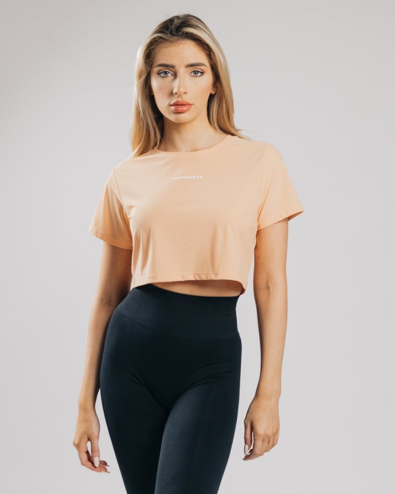 Orange Frost Alphalete Signature Mesh Crop Women\'s Shirts | 3801945-OX