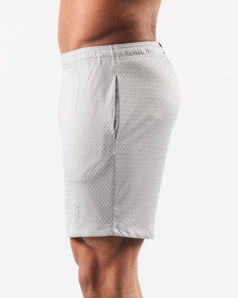 Oyster Grey Alphalete AA Mesh Short 6” Men's Shorts | 2941356-RZ