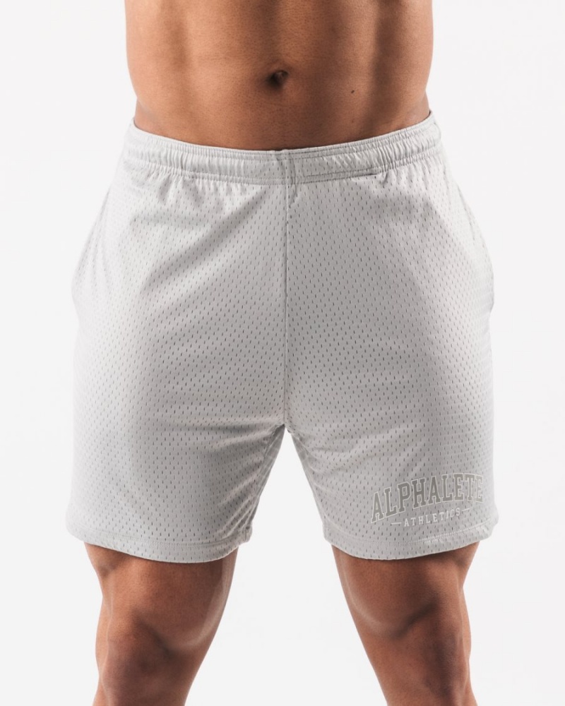 Oyster Grey Alphalete AA Mesh Short 6” Men\'s Shorts | 2941356-RZ