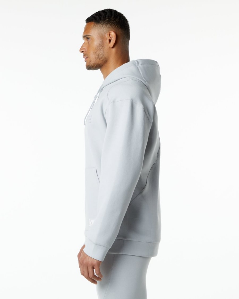 Oyster Grey Alphalete ELMTS Hoodie Men's Hoodie | 8302456-DC