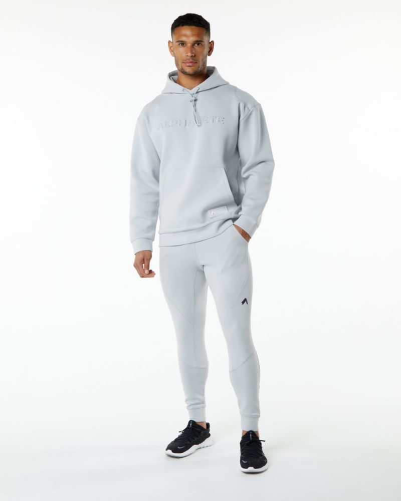 Oyster Grey Alphalete ELMTS Hoodie Men's Hoodie | 8302456-DC