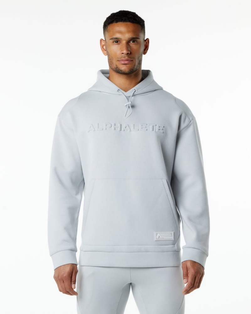 Oyster Grey Alphalete ELMTS Hoodie Men\'s Hoodie | 8302456-DC