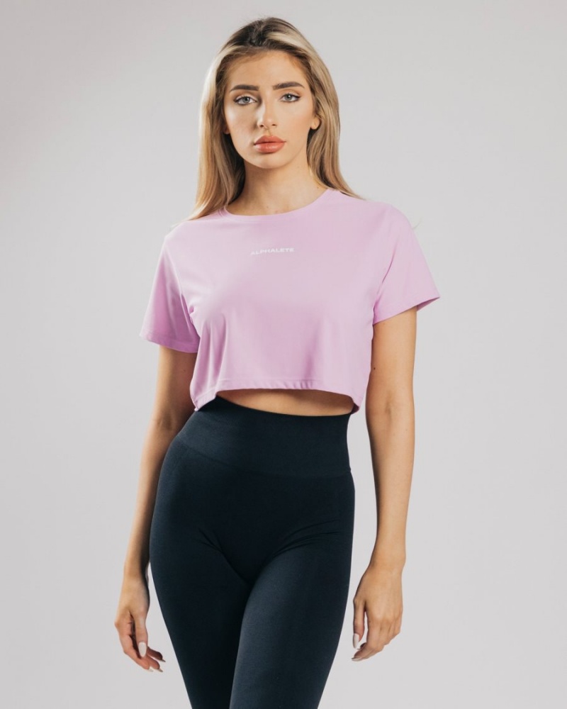 Pastel Pink Alphalete Signature Mesh Crop Women\'s Shirts | 7289405-BC