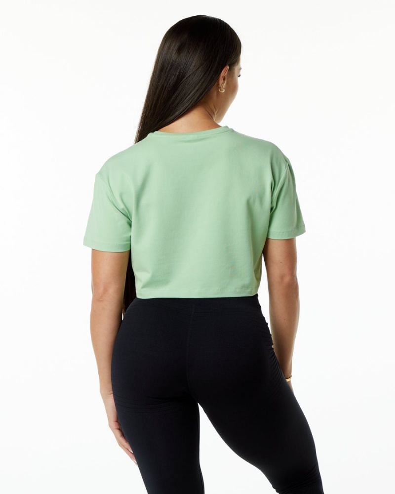 Pistachio Alphalete Dynasty Crop Women's Shirts | 3278096-DK