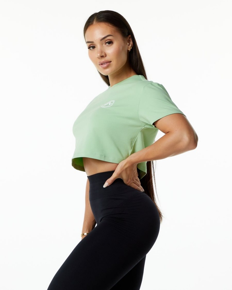 Pistachio Alphalete Dynasty Crop Women's Shirts | 3278096-DK