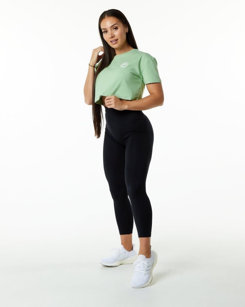 Pistachio Alphalete Dynasty Crop Women's Shirts | 3278096-DK