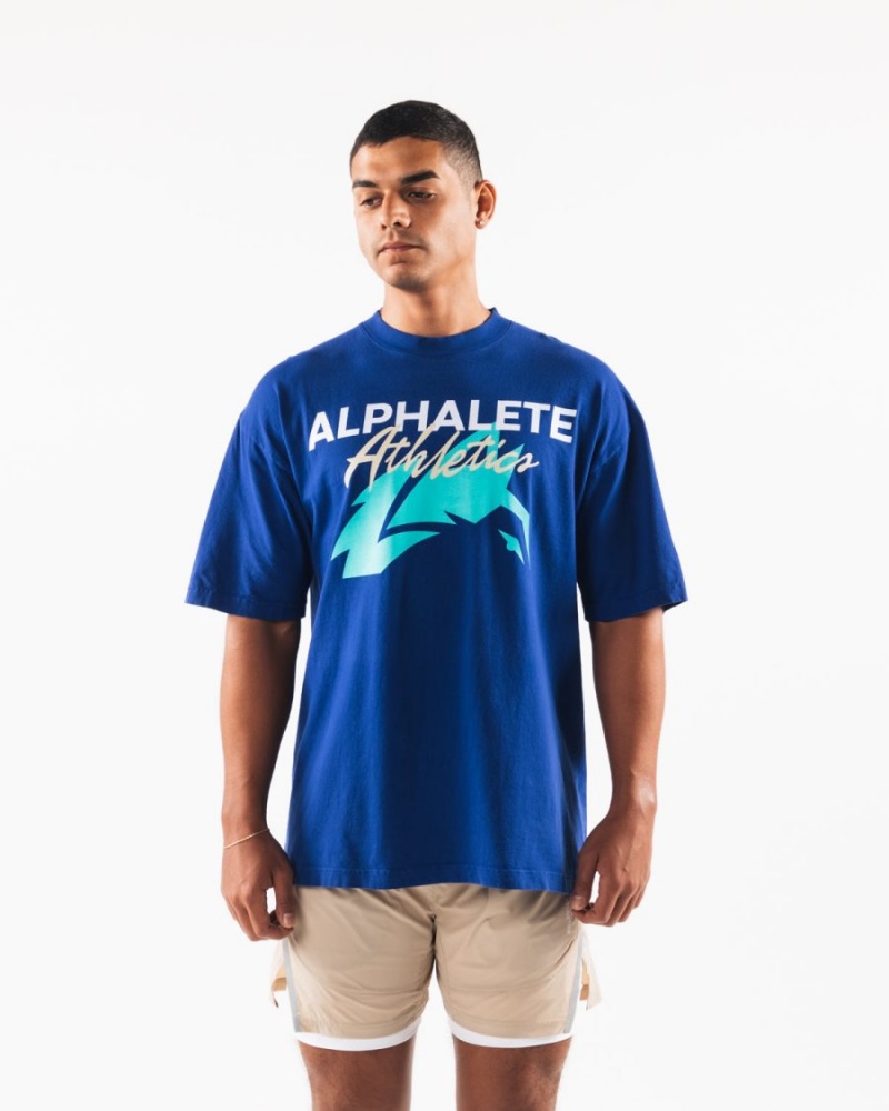 Royal Blue Alphalete AA Beach Tee Women's Shirts | 1469028-NL