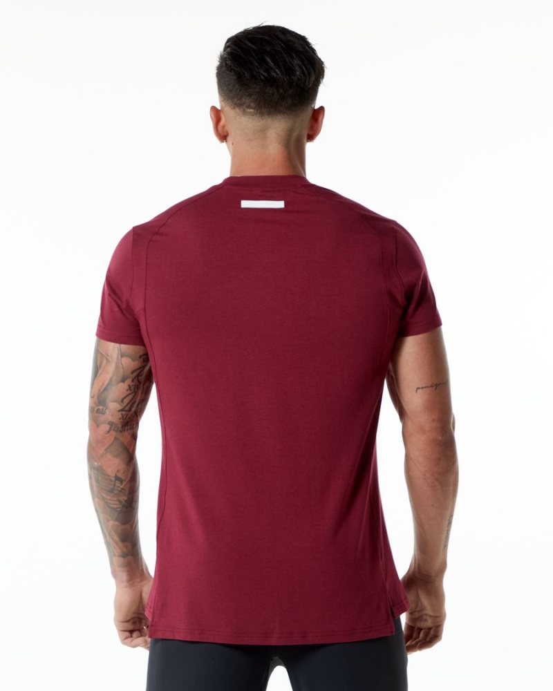 Ruby Red Alphalete Evo Tee Men's Shirts | 7452091-XE