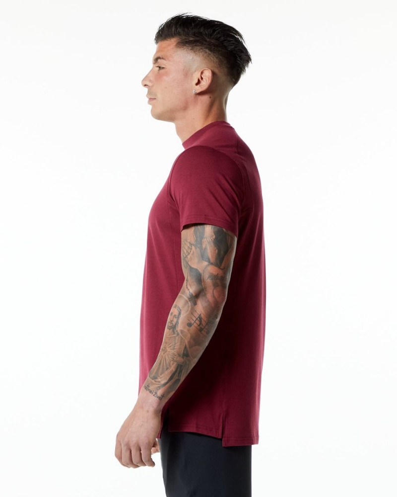 Ruby Red Alphalete Evo Tee Men's Shirts | 7452091-XE