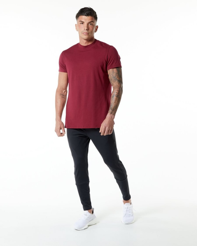 Ruby Red Alphalete Evo Tee Men's Shirts | 7452091-XE