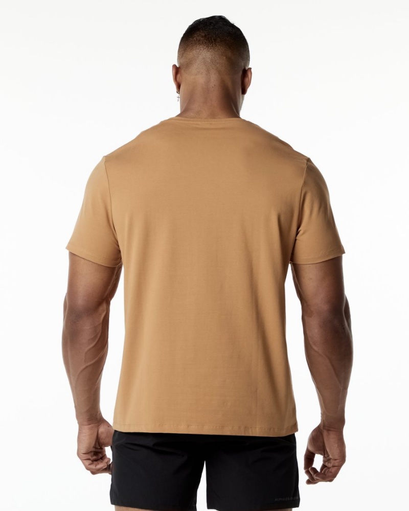 Rust Alphalete Classic Tee Men's Shirts | 9374082-AE