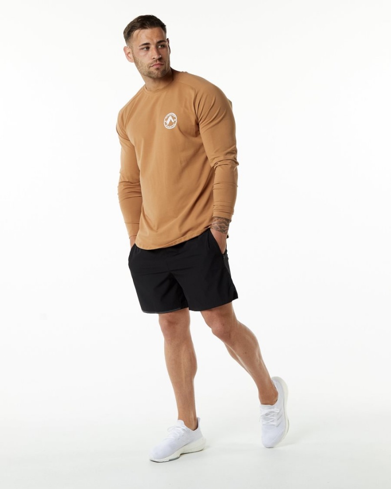 Rust Alphalete Dynasty LS Tee Men's Shirts | 3452716-FA