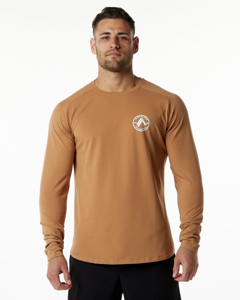 Rust Alphalete Dynasty LS Tee Men\'s Shirts | 3452716-FA