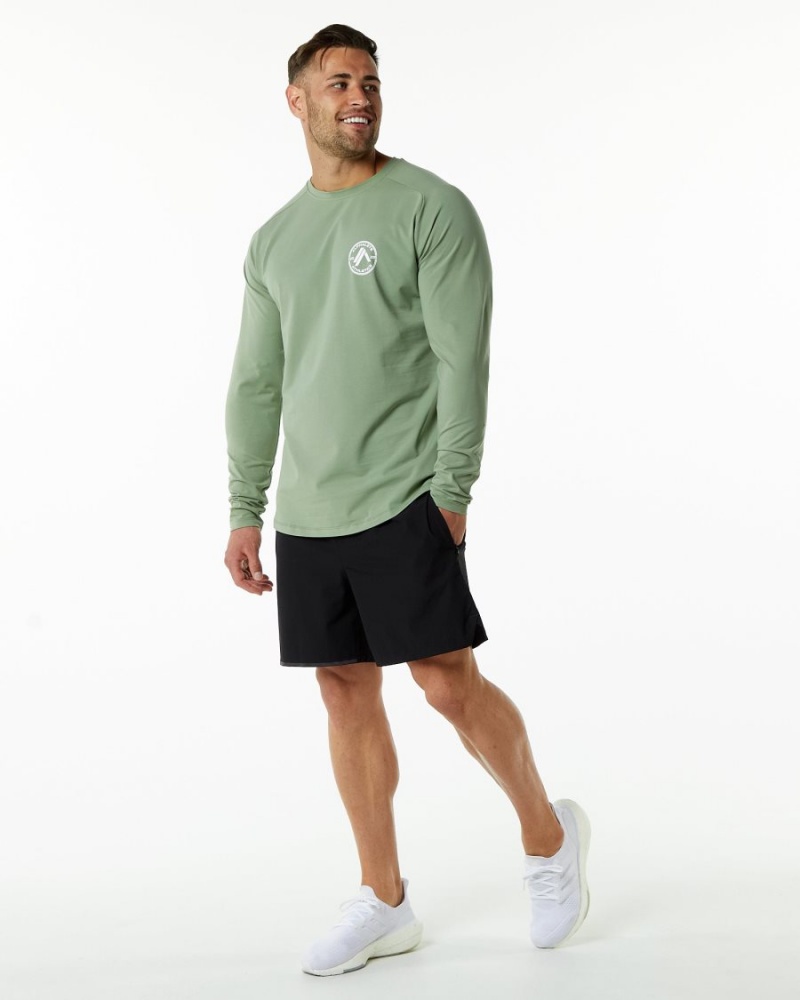 Sage Alphalete Dynasty LS Tee Men's Shirts | 9631580-OY