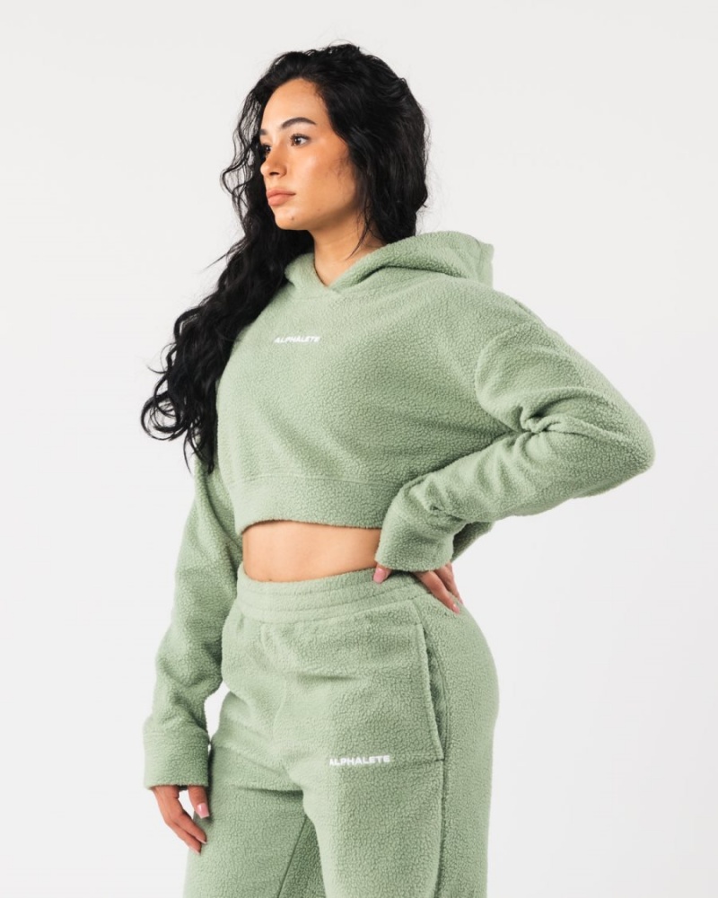 Sage Alphalete King Crop Hoodie Women's Hoodie | 4716398-XI