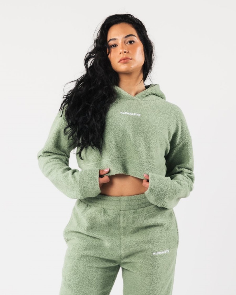 Sage Alphalete King Crop Hoodie Women\'s Hoodie | 4716398-XI